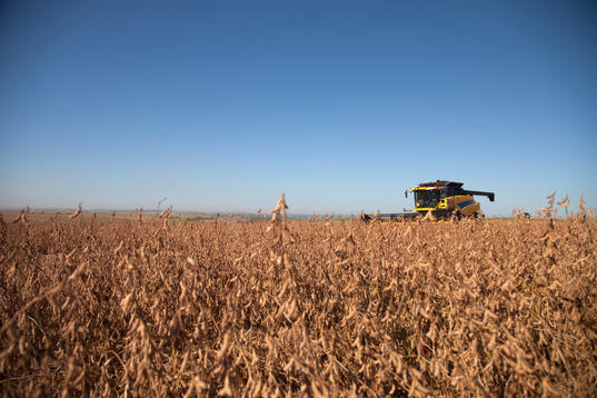 Soybean harvesting - Mato Grosso, Brazil